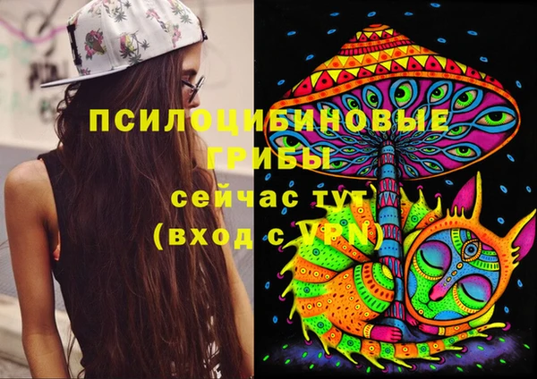a pvp Абинск