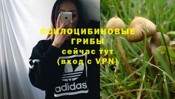 mdpv Михайловск