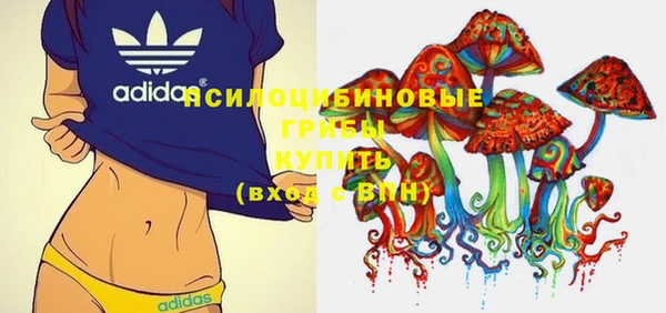 стаф Михайлов