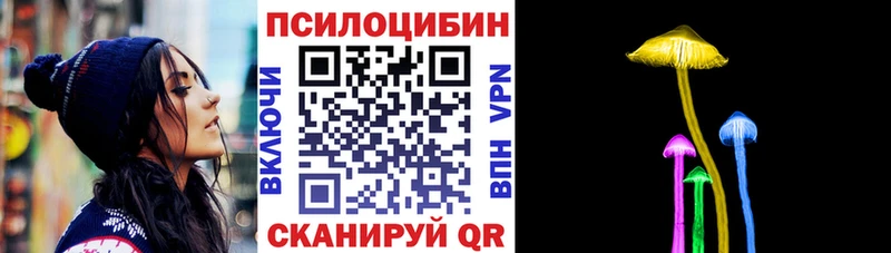 Псилоцибиновые грибы Psilocybine cubensis  Черногорск 